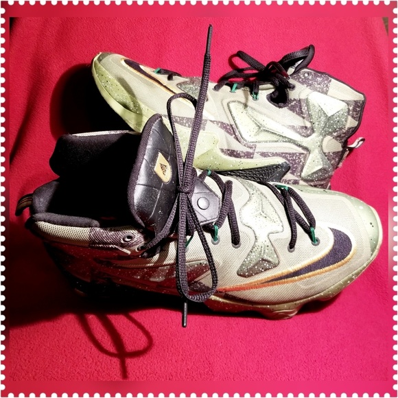 Nike Other - NIKE LEBRON JAMES MENS SHOES SIZE 12